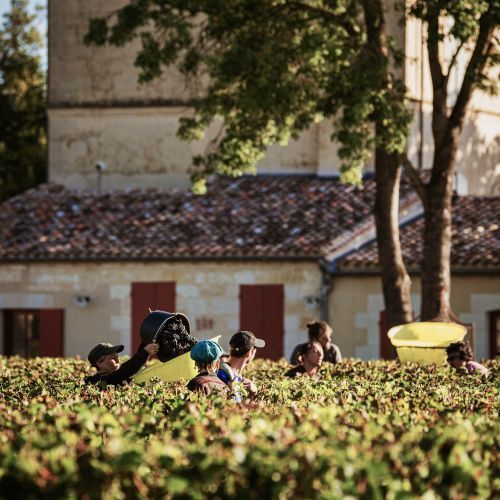 G&C Lurton - Haut-Bages Libéral