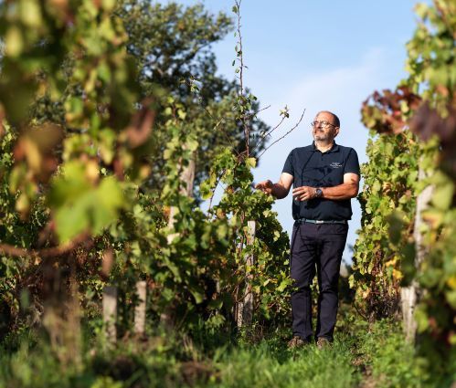 G&C Lurton - Haut-Bages Libéral, Jean-Luc Mouillac