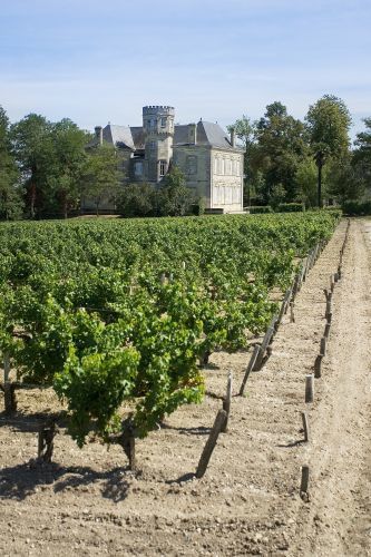 G&C Lurton - Château La Gurgue